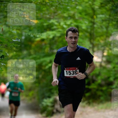 28.09.2025 - 33. Volkslauf durch das schöne Alstertal Patografie http://msf.ph/oto/8966680 28.09.2025 10:01:55 Laufen 1539 meine-sportfotos.de