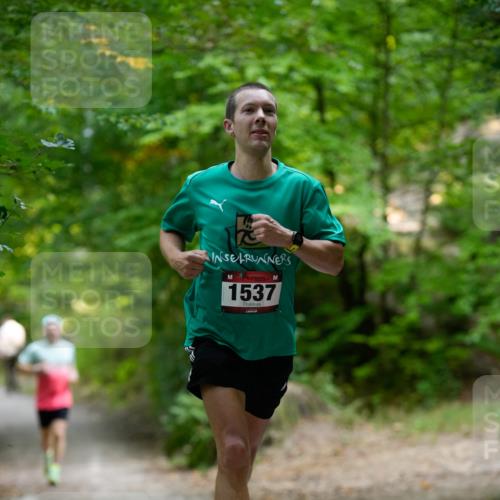 28.09.2025 - 33. Volkslauf durch das schöne Alstertal Patografie http://msf.ph/oto/8966682 28.09.2025 10:01:57 Laufen 1537 meine-sportfotos.de