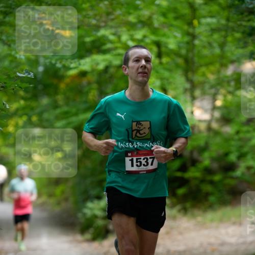 28.09.2025 - 33. Volkslauf durch das schöne Alstertal Patografie http://msf.ph/oto/8966683 28.09.2025 10:01:57 Laufen 1537 meine-sportfotos.de