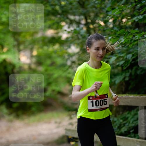 28.09.2025 - 33. Volkslauf durch das schöne Alstertal Patografie http://msf.ph/oto/8966684 28.09.2025 10:02:15 Laufen 1005 meine-sportfotos.de