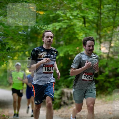 28.09.2025 - 33. Volkslauf durch das schöne Alstertal Patografie http://msf.ph/oto/8966688 28.09.2025 10:02:32 Laufen 43, 1627, 1628 meine-sportfotos.de