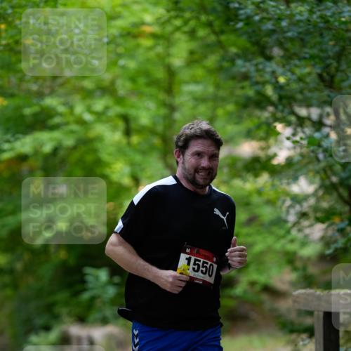 28.09.2025 - 33. Volkslauf durch das schöne Alstertal Patografie http://msf.ph/oto/8966689 28.09.2025 10:02:51 Laufen 1550 meine-sportfotos.de