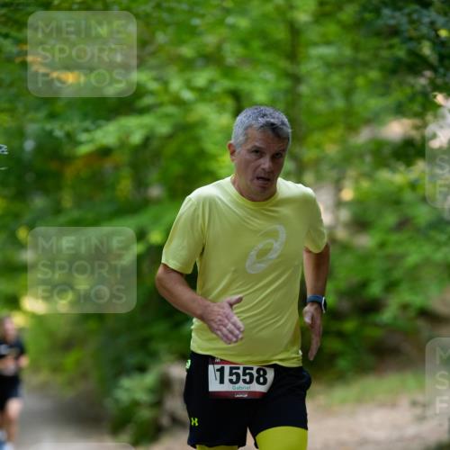 28.09.2025 - 33. Volkslauf durch das schöne Alstertal Patografie http://msf.ph/oto/8966691 28.09.2025 10:02:56 Laufen 1558 meine-sportfotos.de