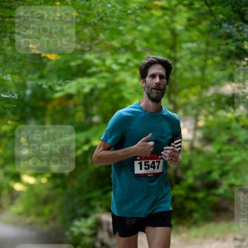 28.09.2025 - 33. Volkslauf durch das schöne Alstertal Patografie http://msf.ph/oto/8966694 28.09.2025 10:03:11 Laufen 1547 meine-sportfotos.de