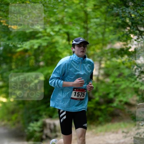 28.09.2025 - 33. Volkslauf durch das schöne Alstertal Patografie http://msf.ph/oto/8966695 28.09.2025 10:03:20 Laufen 1575 meine-sportfotos.de