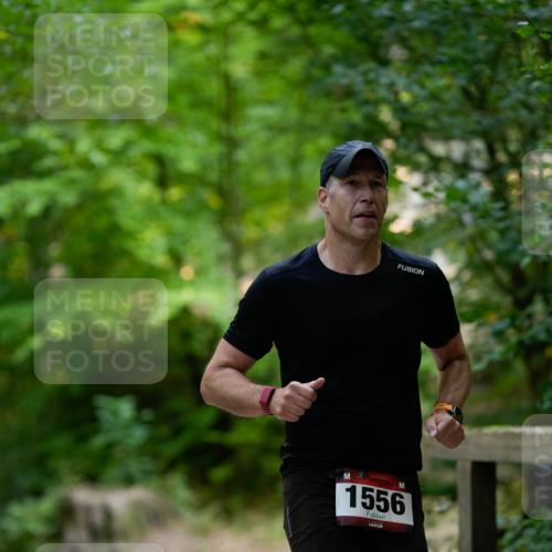 28.09.2025 - 33. Volkslauf durch das schöne Alstertal Patografie http://msf.ph/oto/8966697 28.09.2025 10:03:32 Laufen 1556 meine-sportfotos.de