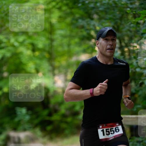 28.09.2025 - 33. Volkslauf durch das schöne Alstertal Patografie http://msf.ph/oto/8966698 28.09.2025 10:03:32 Laufen 1556 meine-sportfotos.de
