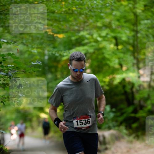 28.09.2025 - 33. Volkslauf durch das schöne Alstertal Patografie http://msf.ph/oto/8966701 28.09.2025 10:04:11 Laufen 1536 meine-sportfotos.de