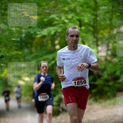 28.09.2025 - 33. Volkslauf durch das schöne Alstertal Patografie http://msf.ph/oto/8966703 28.09.2025 10:04:20 Laufen 1006, 1859 meine-sportfotos.de