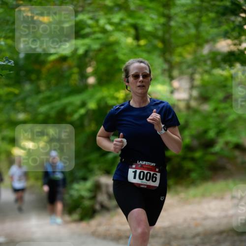 28.09.2025 - 33. Volkslauf durch das schöne Alstertal Patografie http://msf.ph/oto/8966705 28.09.2025 10:04:21 Laufen 1006 meine-sportfotos.de