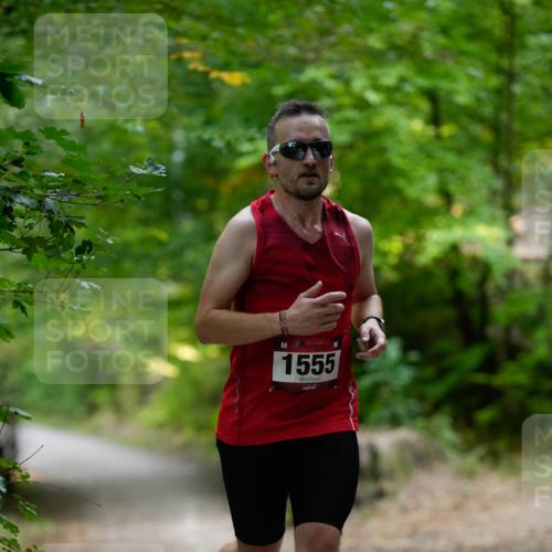 28.09.2025 - 33. Volkslauf durch das schöne Alstertal Patografie http://msf.ph/oto/8966706 28.09.2025 10:04:31 Laufen 1555 meine-sportfotos.de