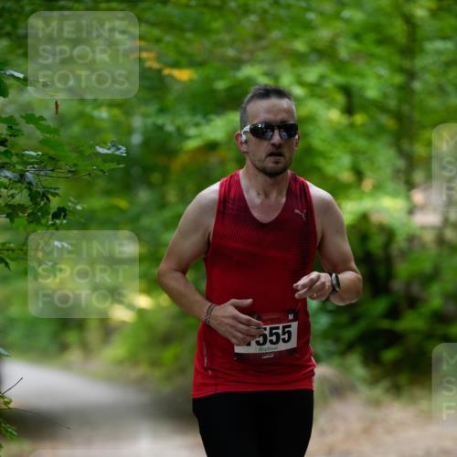 28.09.2025 - 33. Volkslauf durch das schöne Alstertal Patografie http://msf.ph/oto/8966708 28.09.2025 10:04:31 Laufen 1555 meine-sportfotos.de