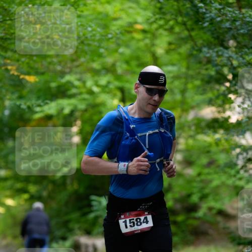 28.09.2025 - 33. Volkslauf durch das schöne Alstertal Patografie http://msf.ph/oto/8966710 28.09.2025 10:04:54 Laufen 1584 meine-sportfotos.de