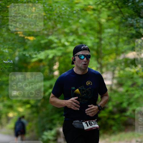 28.09.2025 - 33. Volkslauf durch das schöne Alstertal Patografie http://msf.ph/oto/8966715 28.09.2025 10:05:37 Laufen 1630 meine-sportfotos.de