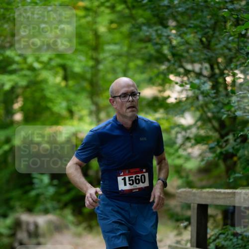 28.09.2025 - 33. Volkslauf durch das schöne Alstertal Patografie http://msf.ph/oto/8966716 28.09.2025 10:05:48 Laufen 1560 meine-sportfotos.de