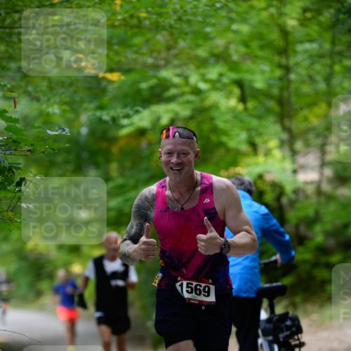 28.09.2025 - 33. Volkslauf durch das schöne Alstertal Patografie http://msf.ph/oto/8966720 28.09.2025 10:06:09 Laufen 1569 meine-sportfotos.de