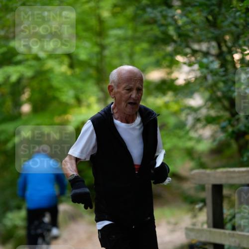 28.09.2025 - 33. Volkslauf durch das schöne Alstertal Patografie http://msf.ph/oto/8966723 28.09.2025 10:06:12 Laufen  meine-sportfotos.de