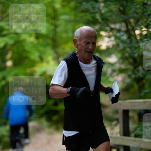 28.09.2025 - 33. Volkslauf durch das schöne Alstertal Patografie http://msf.ph/oto/8966724 28.09.2025 10:06:12 Laufen  meine-sportfotos.de