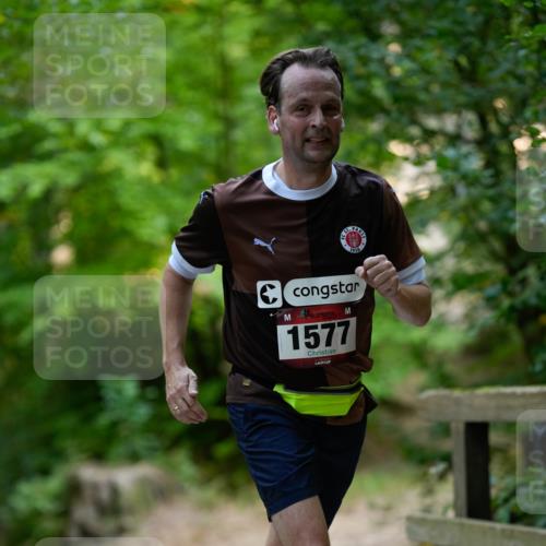 28.09.2025 - 33. Volkslauf durch das schöne Alstertal Patografie http://msf.ph/oto/8966725 28.09.2025 10:06:21 Laufen 1910, 1577 meine-sportfotos.de
