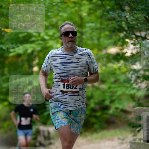 28.09.2025 - 33. Volkslauf durch das schöne Alstertal Patografie http://msf.ph/oto/8966726 28.09.2025 10:06:25 Laufen 1802 meine-sportfotos.de