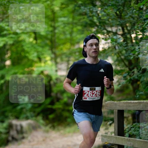 28.09.2025 - 33. Volkslauf durch das schöne Alstertal Patografie http://msf.ph/oto/8966729 28.09.2025 10:06:26 Laufen 2626 meine-sportfotos.de