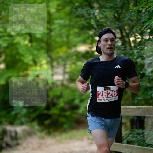 28.09.2025 - 33. Volkslauf durch das schöne Alstertal Patografie http://msf.ph/oto/8966730 28.09.2025 10:06:27 Laufen 2626 meine-sportfotos.de