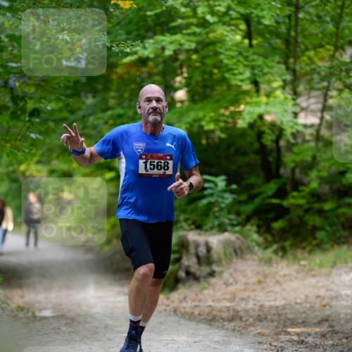 28.09.2025 - 33. Volkslauf durch das schöne Alstertal Patografie http://msf.ph/oto/8966733 28.09.2025 10:06:48 Laufen 1568 meine-sportfotos.de