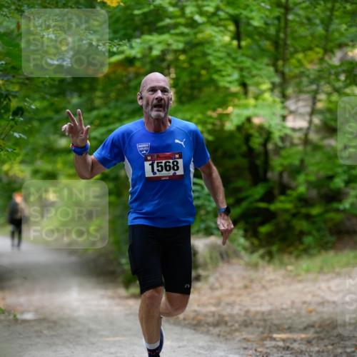 28.09.2025 - 33. Volkslauf durch das schöne Alstertal Patografie http://msf.ph/oto/8966734 28.09.2025 10:06:49 Laufen 1568 meine-sportfotos.de
