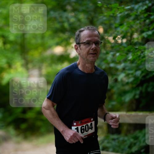 28.09.2025 - 33. Volkslauf durch das schöne Alstertal Patografie http://msf.ph/oto/8966738 28.09.2025 10:07:14 Laufen 1604 meine-sportfotos.de