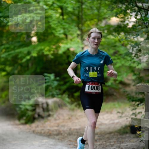 28.09.2025 - 33. Volkslauf durch das schöne Alstertal Patografie http://msf.ph/oto/8966744 28.09.2025 10:07:53 Laufen 2025, 1008 meine-sportfotos.de
