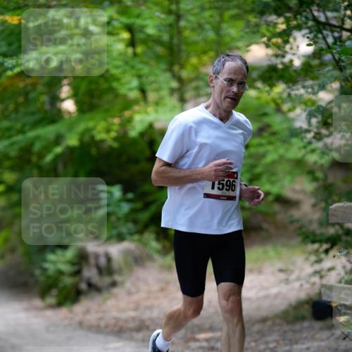 28.09.2025 - 33. Volkslauf durch das schöne Alstertal Patografie http://msf.ph/oto/8966745 28.09.2025 10:08:14 Laufen 1596 meine-sportfotos.de