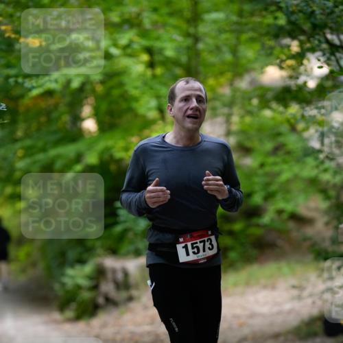 28.09.2025 - 33. Volkslauf durch das schöne Alstertal Patografie http://msf.ph/oto/8966746 28.09.2025 10:08:32 Laufen 1573 meine-sportfotos.de