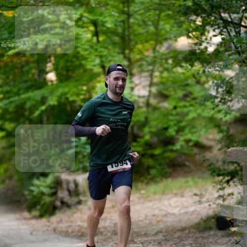 28.09.2025 - 33. Volkslauf durch das schöne Alstertal Patografie http://msf.ph/oto/8966747 28.09.2025 10:08:50 Laufen 1994 meine-sportfotos.de