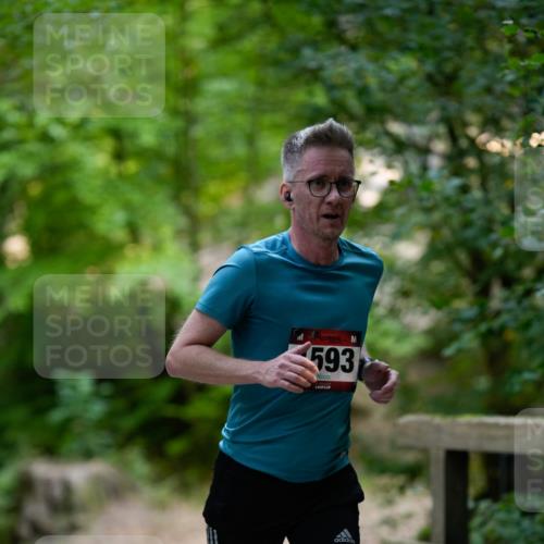 28.09.2025 - 33. Volkslauf durch das schöne Alstertal Patografie http://msf.ph/oto/8966755 28.09.2025 10:09:19 Laufen 1593 meine-sportfotos.de