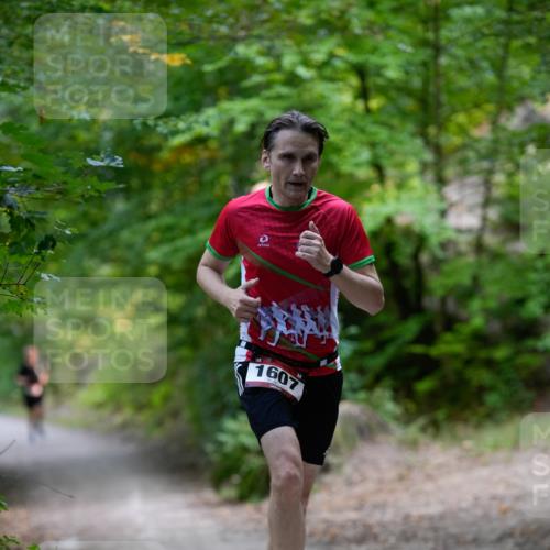 28.09.2025 - 33. Volkslauf durch das schöne Alstertal Patografie http://msf.ph/oto/8966756 28.09.2025 10:09:27 Laufen 1607 meine-sportfotos.de