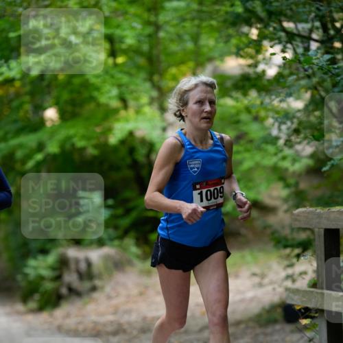 28.09.2025 - 33. Volkslauf durch das schöne Alstertal Patografie http://msf.ph/oto/8966757 28.09.2025 10:09:55 Laufen 1009 meine-sportfotos.de