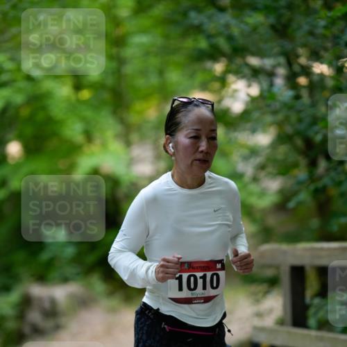 28.09.2025 - 33. Volkslauf durch das schöne Alstertal Patografie http://msf.ph/oto/8966759 28.09.2025 10:10:01 Laufen 1010 meine-sportfotos.de