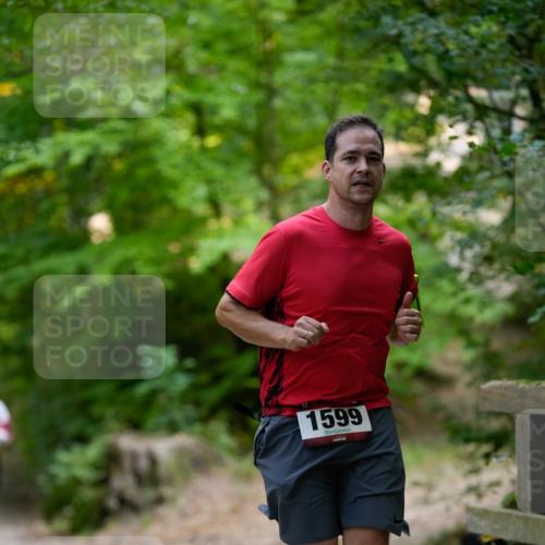 28.09.2025 - 33. Volkslauf durch das schöne Alstertal Patografie http://msf.ph/oto/8966760 28.09.2025 10:10:08 Laufen 1599 meine-sportfotos.de