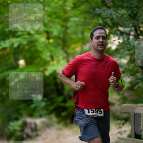 28.09.2025 - 33. Volkslauf durch das schöne Alstertal Patografie http://msf.ph/oto/8966761 28.09.2025 10:10:08 Laufen 1599 meine-sportfotos.de