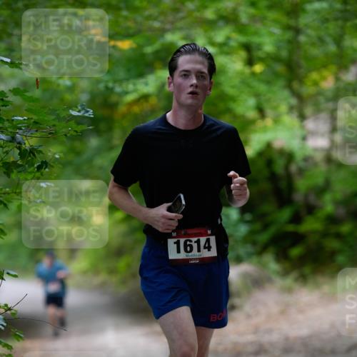 28.09.2025 - 33. Volkslauf durch das schöne Alstertal Patografie http://msf.ph/oto/8966762 28.09.2025 10:10:15 Laufen 1614 meine-sportfotos.de