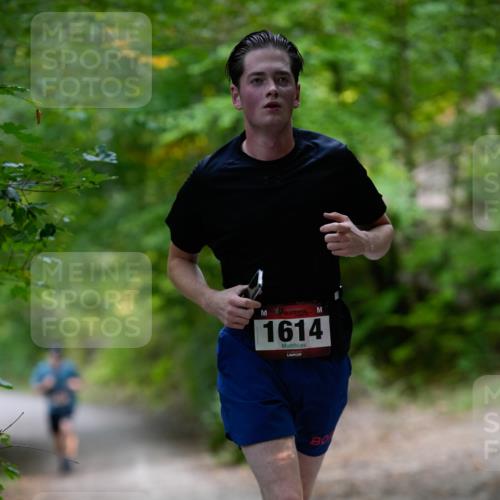 28.09.2025 - 33. Volkslauf durch das schöne Alstertal Patografie http://msf.ph/oto/8966764 28.09.2025 10:10:15 Laufen 1614, 80 meine-sportfotos.de