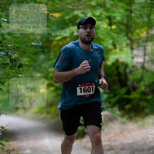 28.09.2025 - 33. Volkslauf durch das schöne Alstertal Patografie http://msf.ph/oto/8966765 28.09.2025 10:10:20 Laufen 1601 meine-sportfotos.de