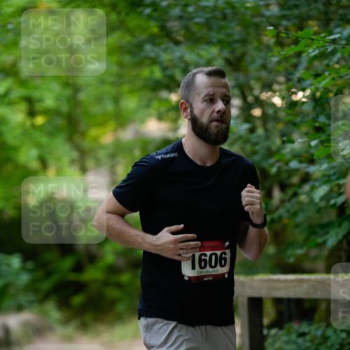 28.09.2025 - 33. Volkslauf durch das schöne Alstertal Patografie http://msf.ph/oto/8966766 28.09.2025 10:10:43 Laufen 1606 meine-sportfotos.de