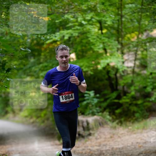 28.09.2025 - 33. Volkslauf durch das schöne Alstertal Patografie http://msf.ph/oto/8966769 28.09.2025 10:11:15 Laufen 1864 meine-sportfotos.de