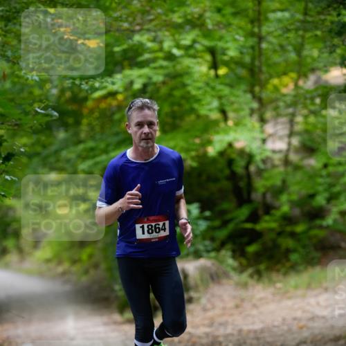 28.09.2025 - 33. Volkslauf durch das schöne Alstertal Patografie http://msf.ph/oto/8966770 28.09.2025 10:11:15 Laufen 1864 meine-sportfotos.de