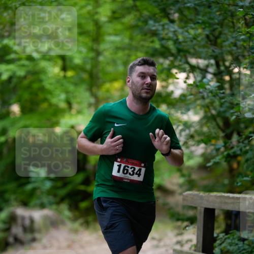 28.09.2025 - 33. Volkslauf durch das schöne Alstertal Patografie http://msf.ph/oto/8966771 28.09.2025 10:12:24 Laufen 1634 meine-sportfotos.de