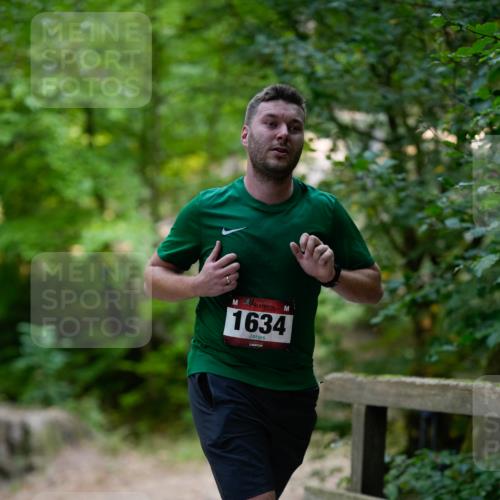 28.09.2025 - 33. Volkslauf durch das schöne Alstertal Patografie http://msf.ph/oto/8966773 28.09.2025 10:12:24 Laufen 1634 meine-sportfotos.de