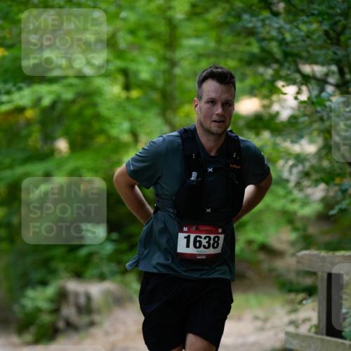28.09.2025 - 33. Volkslauf durch das schöne Alstertal Patografie http://msf.ph/oto/8966776 28.09.2025 10:12:30 Laufen 1638 meine-sportfotos.de