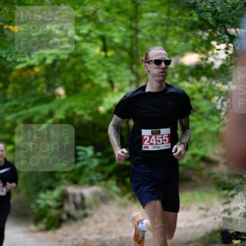 28.09.2025 - 33. Volkslauf durch das schöne Alstertal Patografie http://msf.ph/oto/8966777 28.09.2025 10:12:44 Laufen 2455 meine-sportfotos.de
