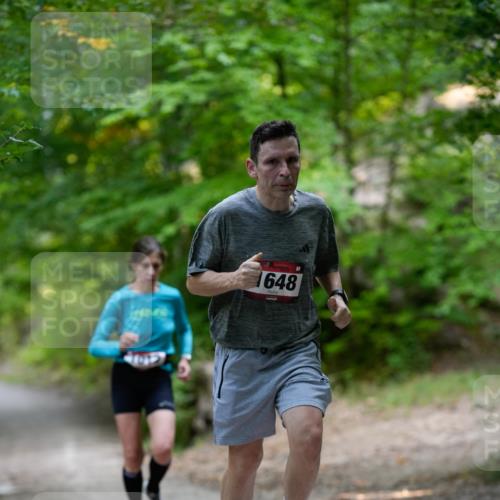 28.09.2025 - 33. Volkslauf durch das schöne Alstertal Patografie http://msf.ph/oto/8966778 28.09.2025 10:13:02 Laufen 1648 meine-sportfotos.de
